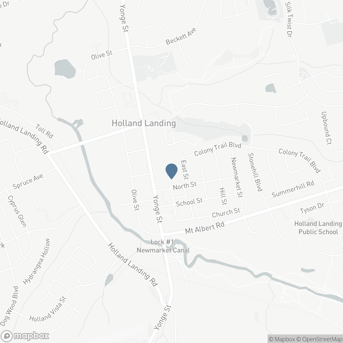 135 PETER STREET, East Gwillimbury, Ontario L9N 1L2